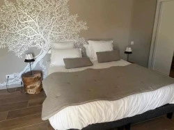 Chambre d’hôtes à Avignon